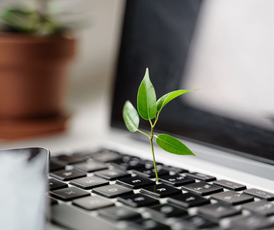 Transformação Social Sustentável: 7 Passos Para Um Mundo Melhor 11 Implementar Sustentabilidade Social
